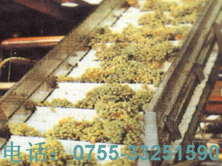 水果输送清洗线